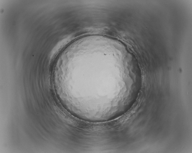 X0000072980149200608041252