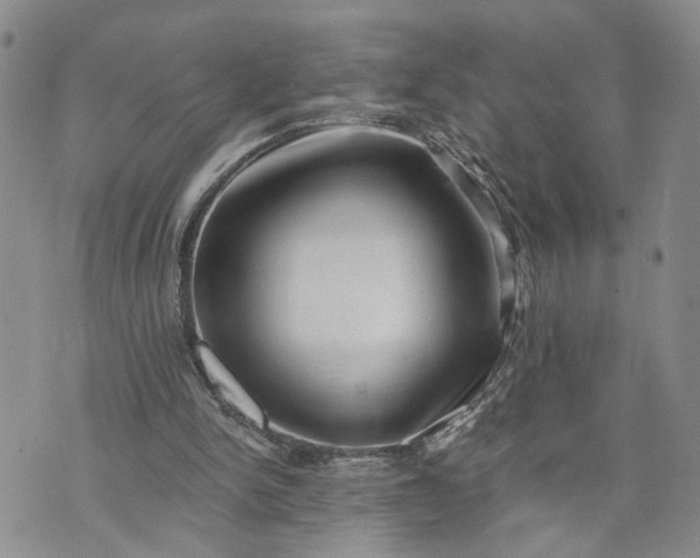 X0000072980150200608041252