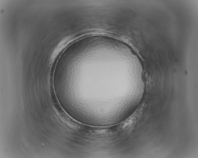 X0000072980151200608041252