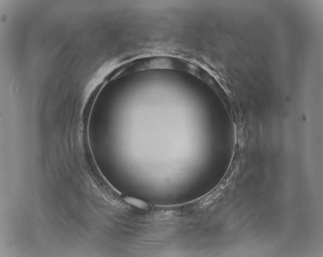 X0000072980152200608041252