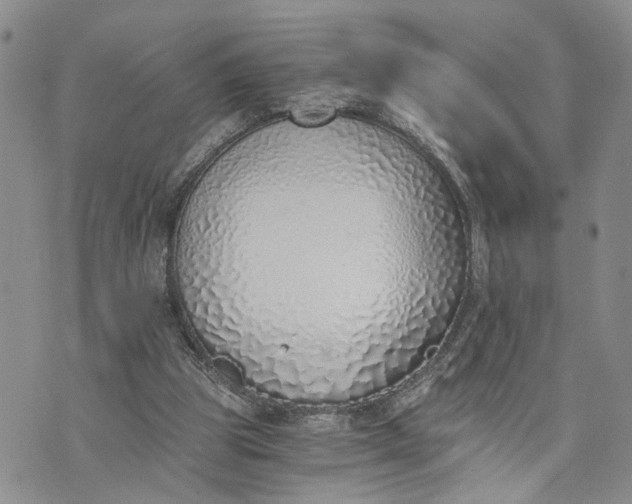 X0000072980153200608041252