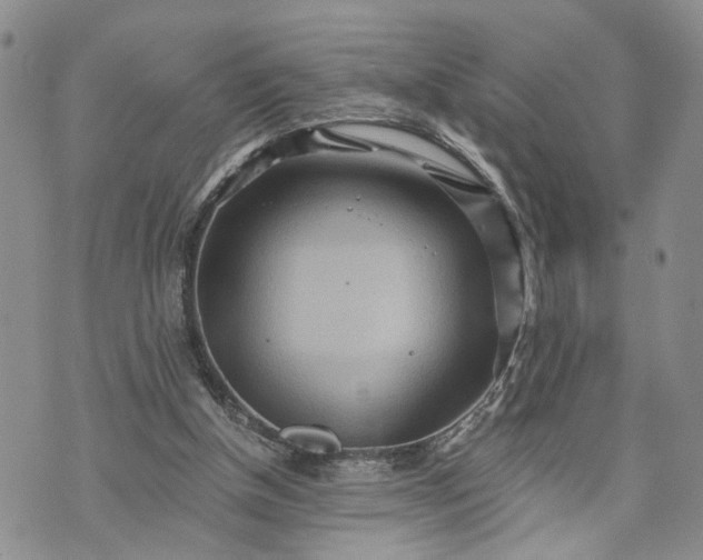 X0000072980154200608041252