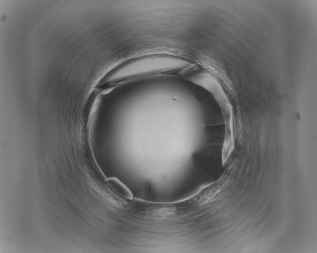 X0000072980156200608041252