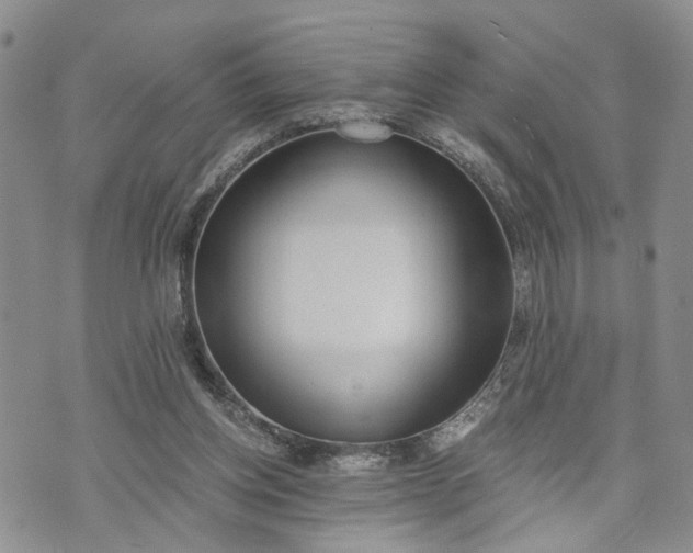 X0000072980158200608041252