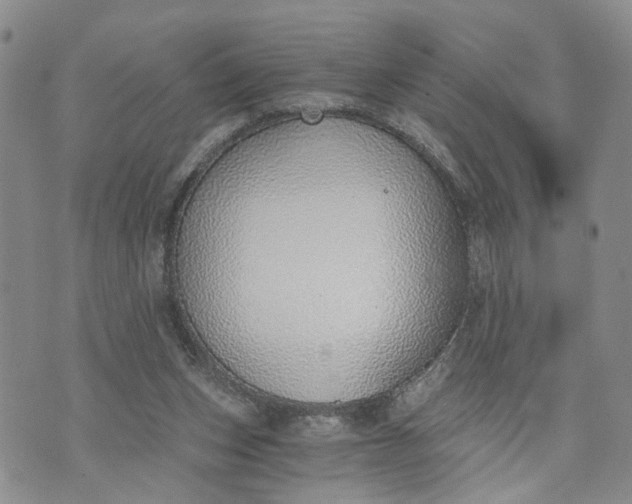 X0000072980159200608041252