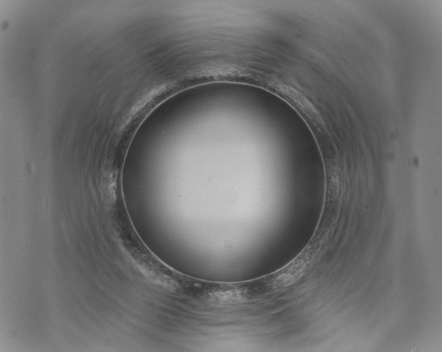 X0000072980160200608041252