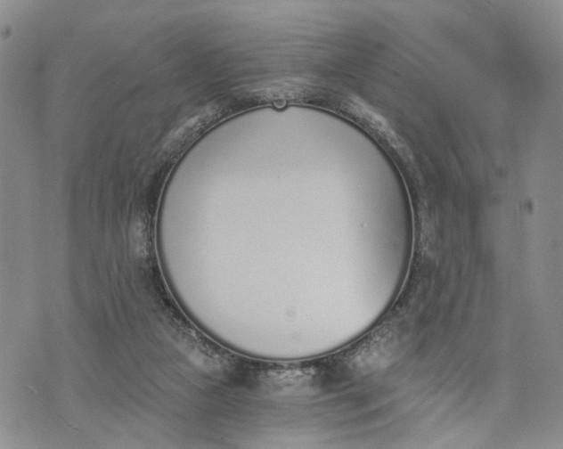 X0000072980161200608041252