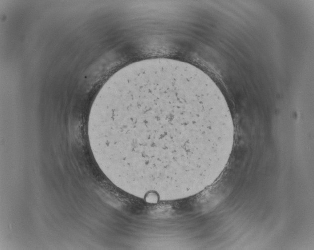 X0000072980162200608041252