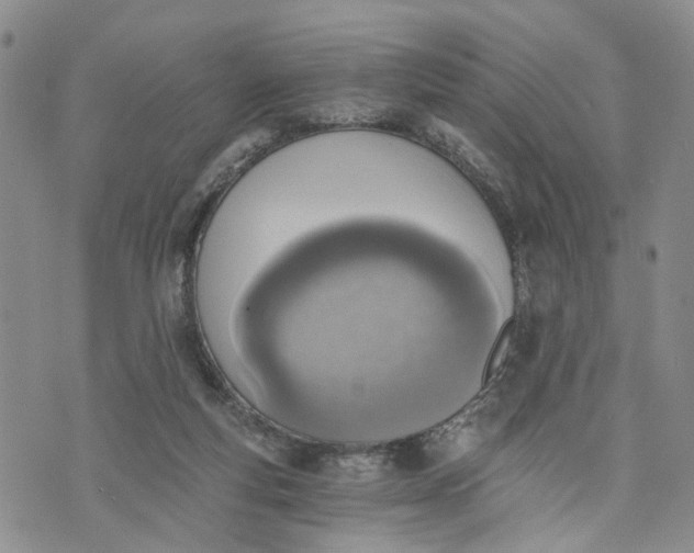 X0000072980163200608041252