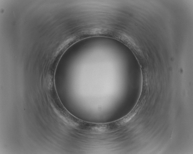 X0000072980164200608041252