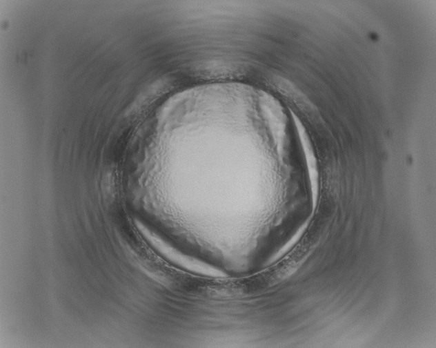 X0000072980165200608041252