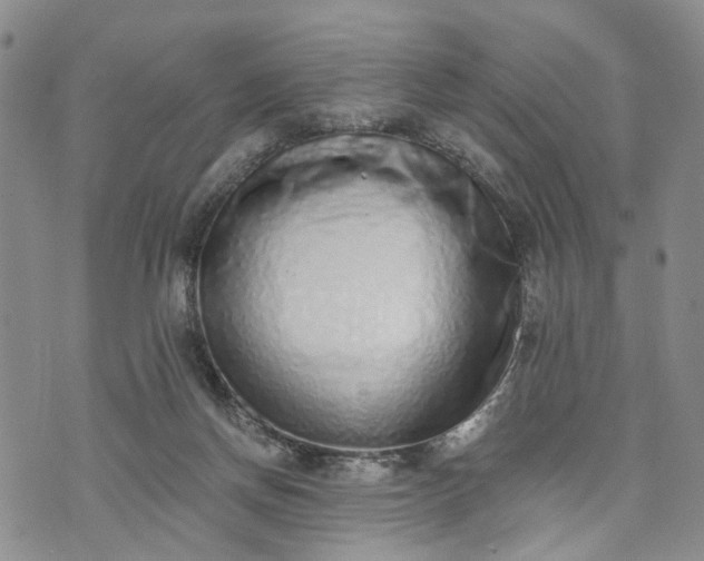 X0000072980166200608041252