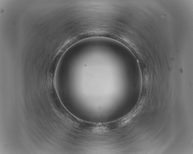 X0000072980168200608041252