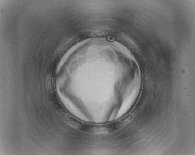 X0000072980169200608041252