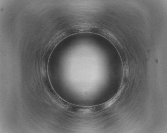 X0000072980170200608041252