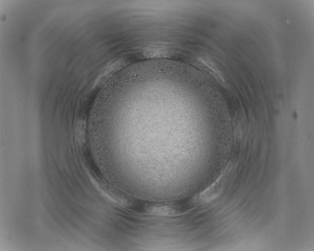 X0000072980171200608041252