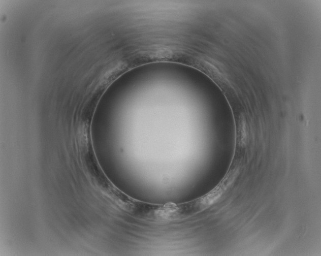 X0000072980172200608041252