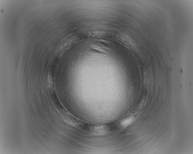 X0000072980173200608041252