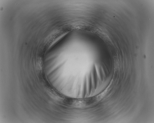 X0000072980174200608041252