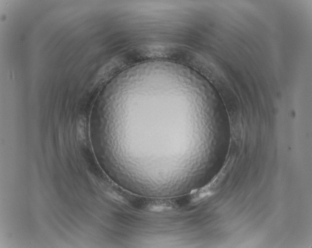 X0000072980175200608041252