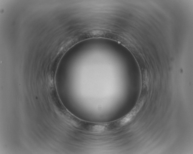 X0000072980176200608041252