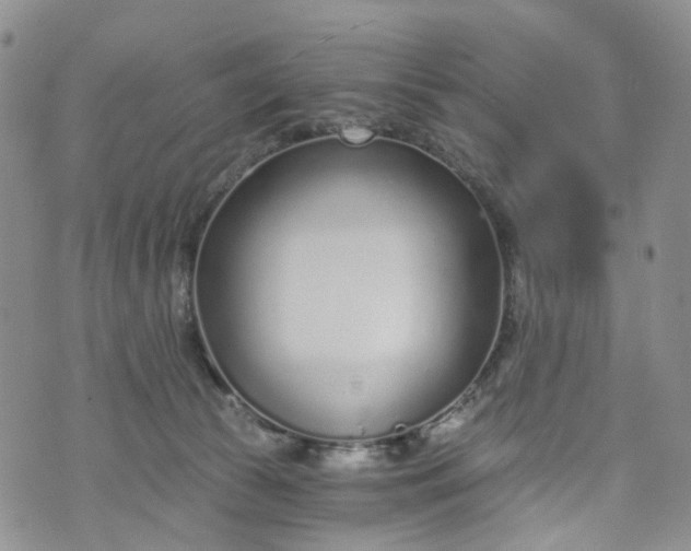 X0000072980177200608041252