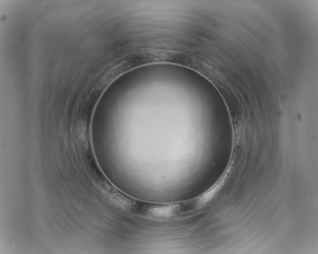 X0000072980178200608041252