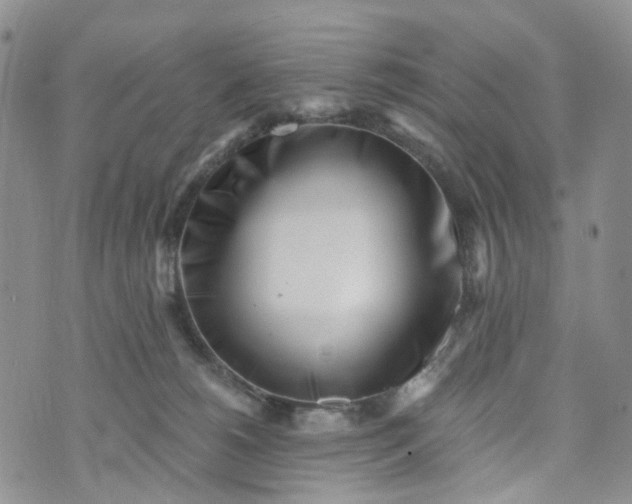 X0000072980180200608041252