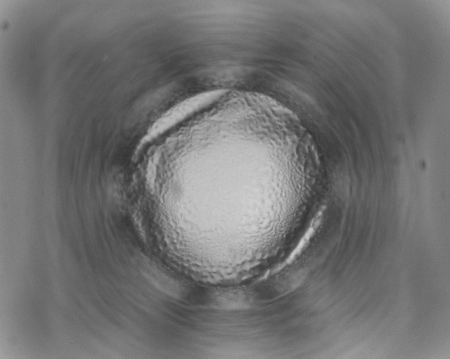 X0000072980181200608041252