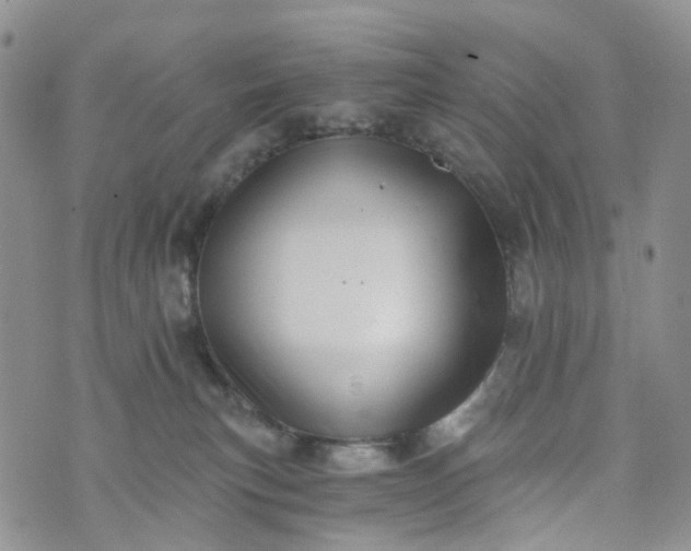 X0000072980183200608041252