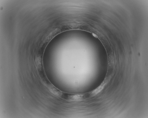 X0000072980184200608041252