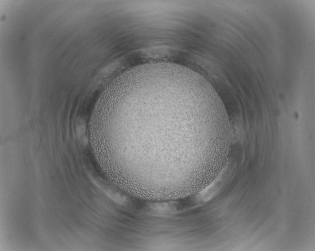 X0000072980187200608041252