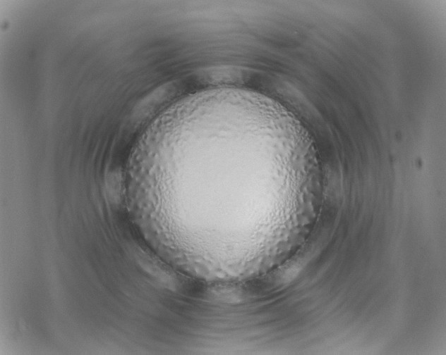 X0000072980189200608041252