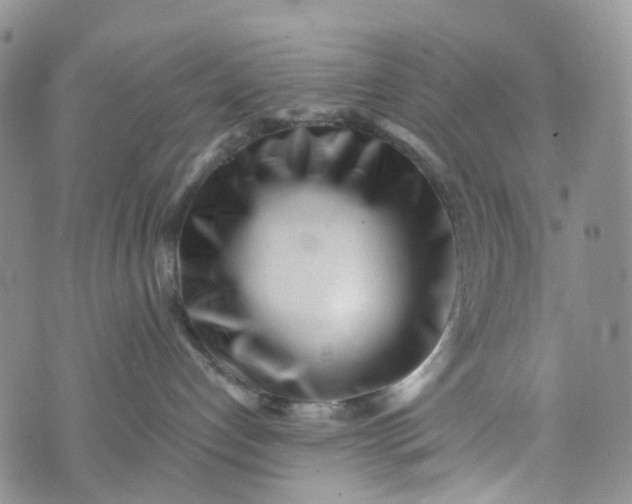 X0000072980192200608041252