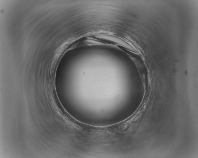 X0000072980193200608041251