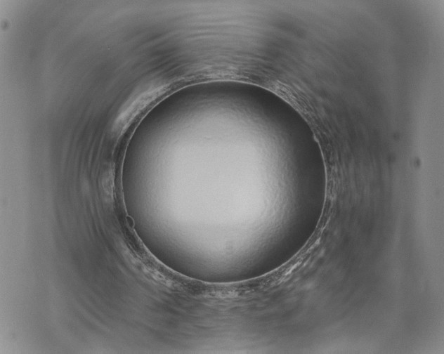 X0000072980194200608041251