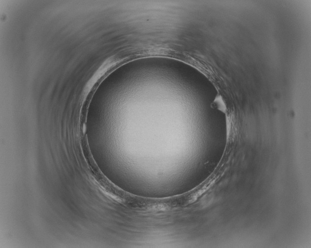 X0000072980195200608041251