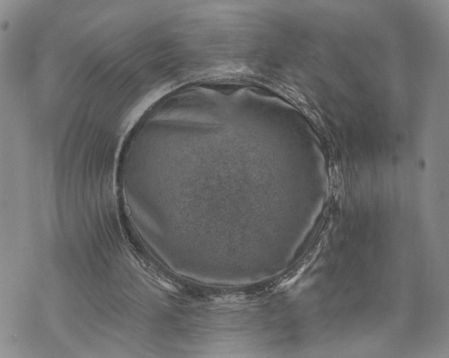 X0000072980196200608041251