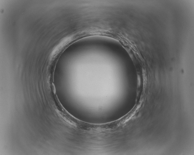 X0000072980197200608041251