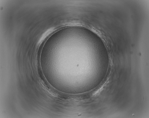 X0000072980199200608041251