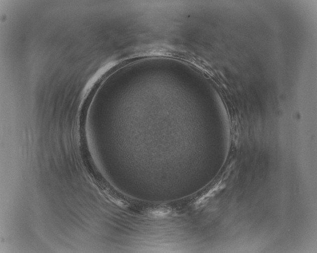 X0000072980200200608041251