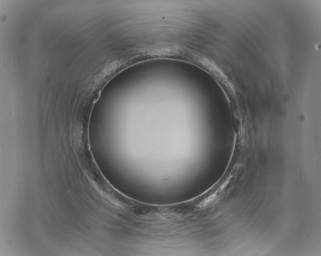 X0000072980201200608041251