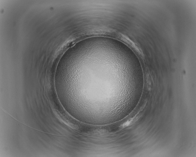 X0000072980203200608041251