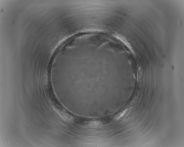 X0000072980204200608041251