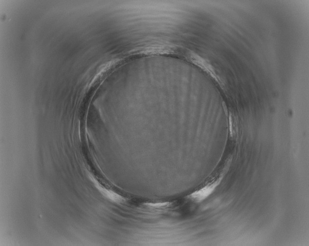 X0000072980205200608041251