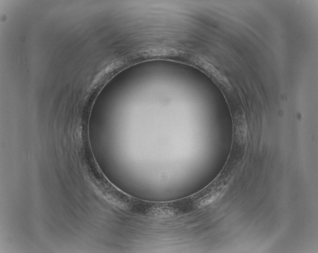 X0000072980207200608041251