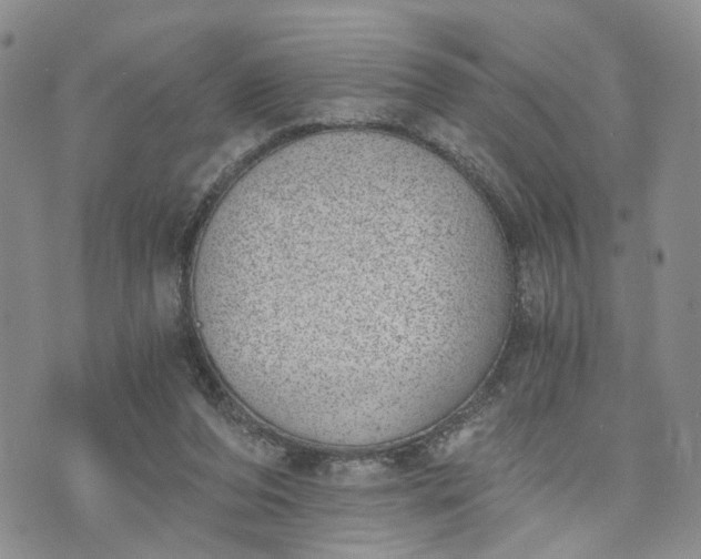 X0000072980208200608041251