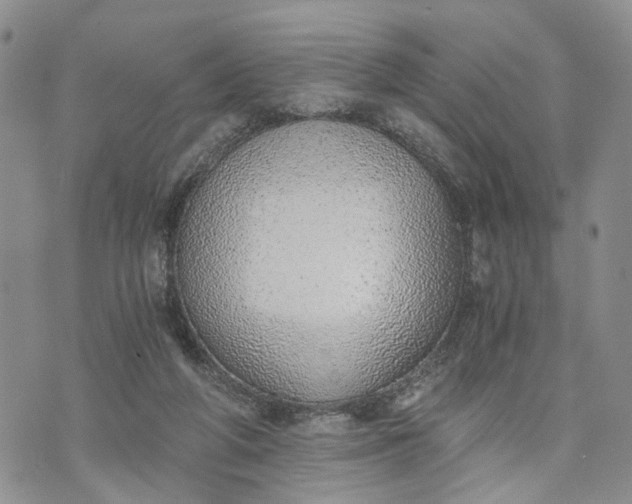 X0000072980210200608041251