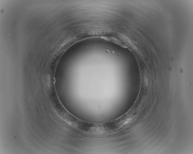 X0000072980211200608041251