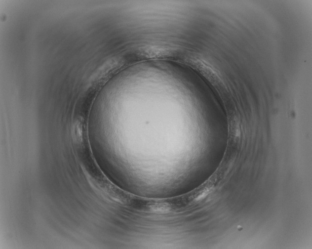 X0000072980214200608041251